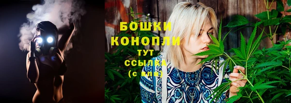 шишки Россошь