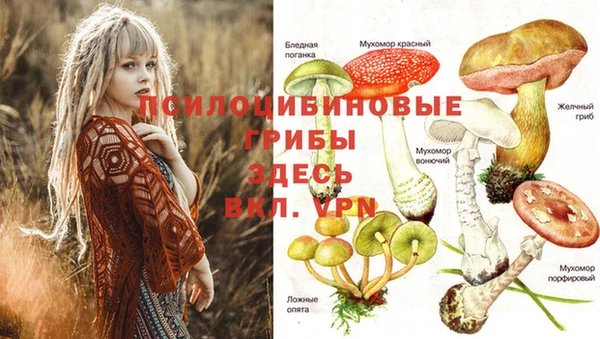 круглые Рославль