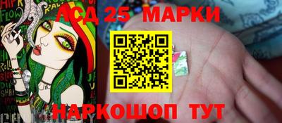 индика Кинель