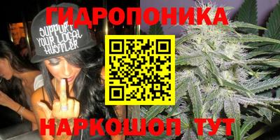 индика Кинель