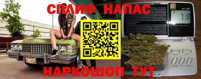 индика Кинель