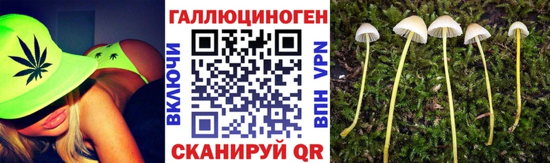Галлюциногенные грибы ЛСД  Новотроицк 
