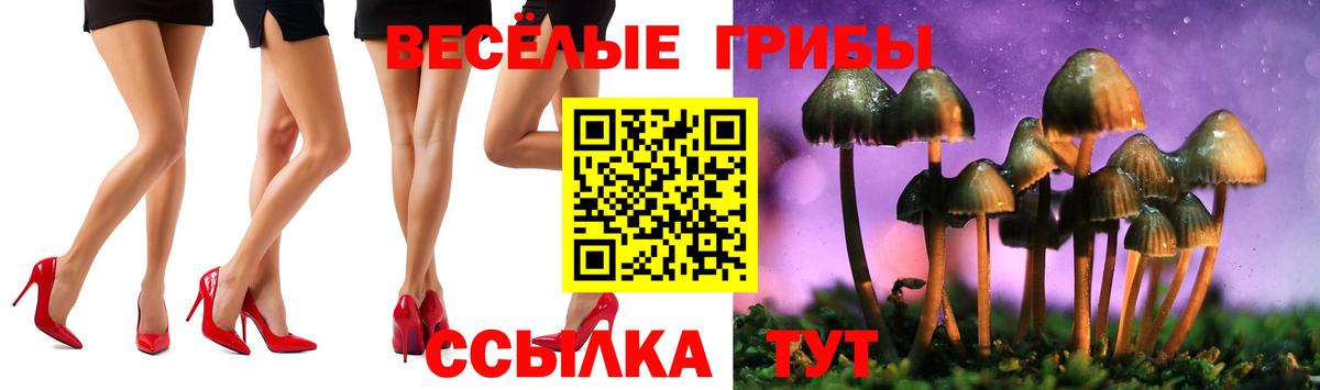 Псилоцибиновые грибы мицелий  Галлюциногенные грибы Cubensis  Новотроицк  Вход с VPN 
